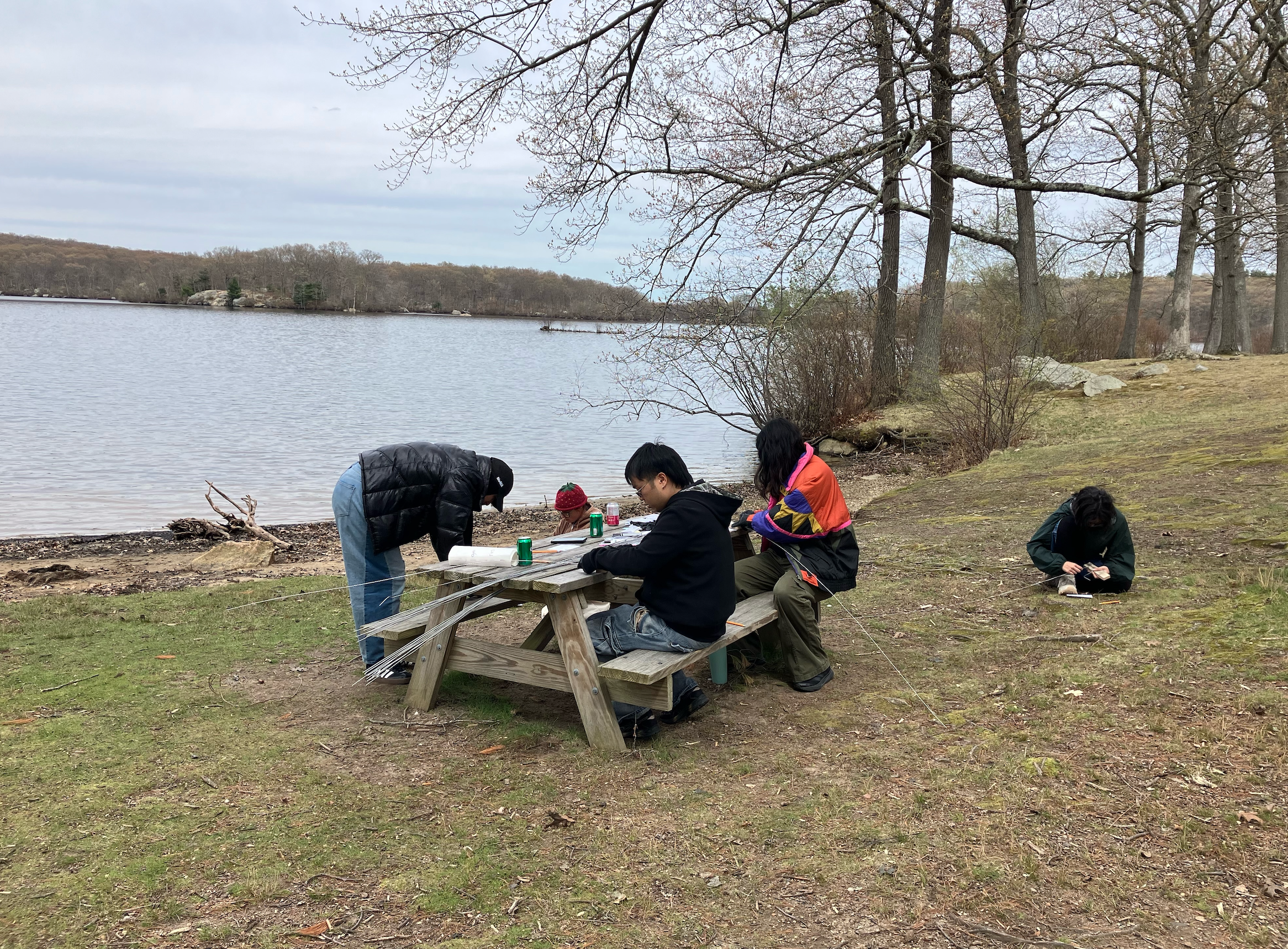 dm_picnic_people.png