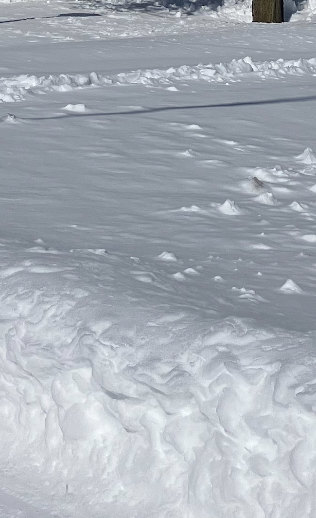 snow.png
